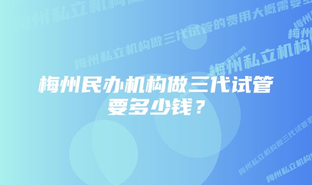 梅州民办机构做三代试管要多少钱？