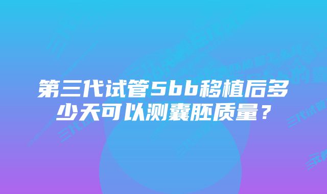 第三代试管5bb移植后多少天可以测囊胚质量？