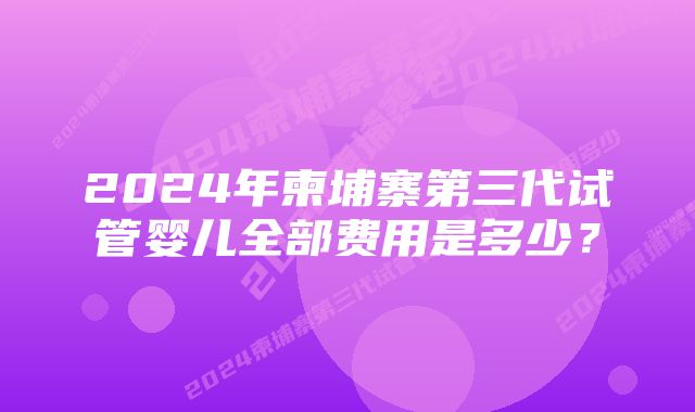 2024年柬埔寨第三代试管婴儿全部费用是多少？