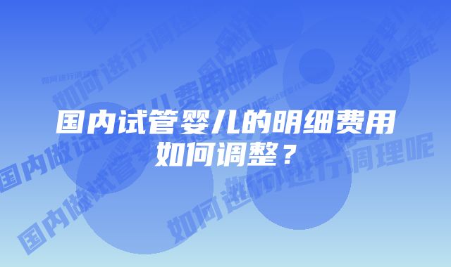 国内试管婴儿的明细费用如何调整？