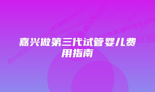 嘉兴做第三代试管婴儿费用指南