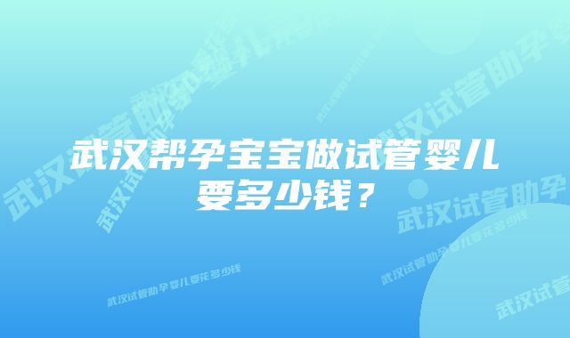 武汉帮孕宝宝做试管婴儿要多少钱？