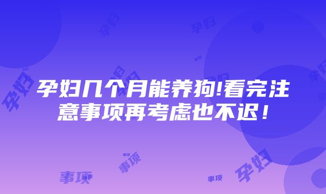 孕妇几个月能养狗!看完注意事项再考虑也不迟！