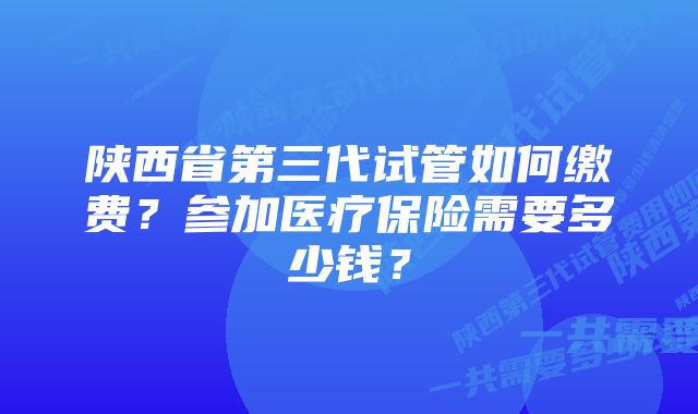 陕西省第三代试管如何缴费？参加医疗保险需要多少钱？