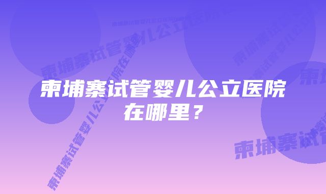 柬埔寨试管婴儿公立医院在哪里？