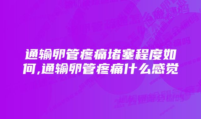 通输卵管疼痛堵塞程度如何,通输卵管疼痛什么感觉