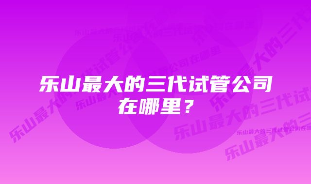 乐山最大的三代试管公司在哪里？