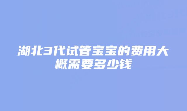 湖北3代试管宝宝的费用大概需要多少钱