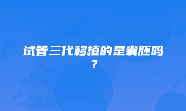 试管三代移植的是囊胚吗？