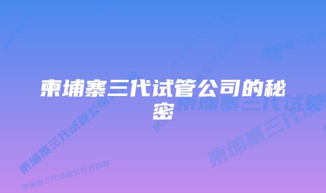 柬埔寨三代试管公司的秘密