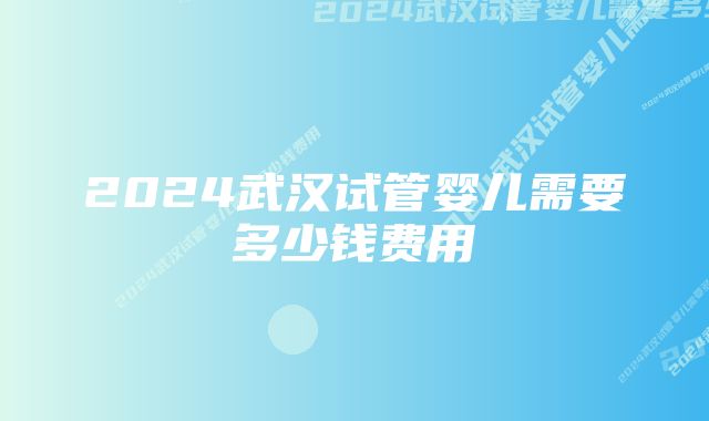 2024武汉试管婴儿需要多少钱费用