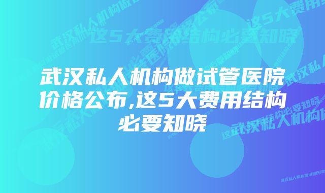 武汉私人机构做试管医院价格公布,这5大费用结构必要知晓