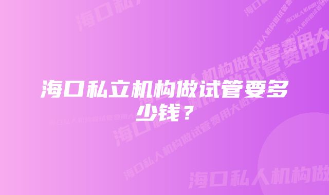 海口私立机构做试管要多少钱？