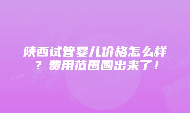 陕西试管婴儿价格怎么样？费用范围画出来了！