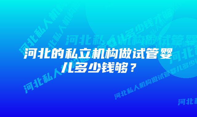 河北的私立机构做试管婴儿多少钱够？