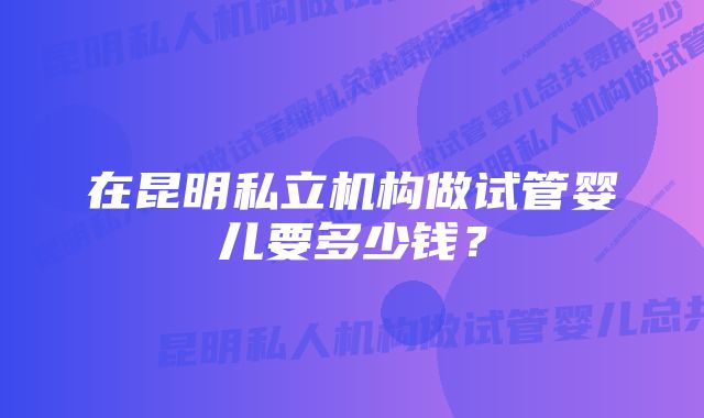 在昆明私立机构做试管婴儿要多少钱？