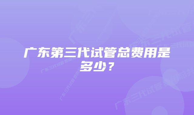 广东第三代试管总费用是多少？