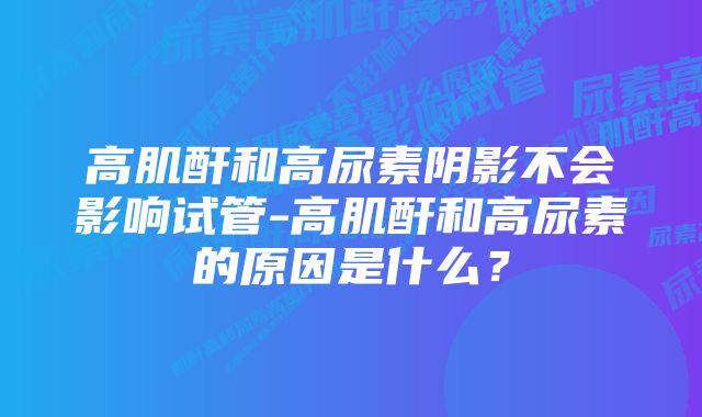 高肌酐和高尿素阴影不会影响试管-高肌酐和高尿素的原因是什么？