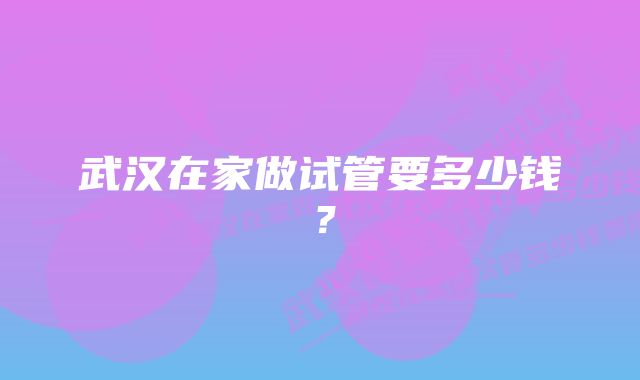 武汉在家做试管要多少钱？