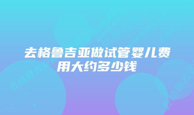 去格鲁吉亚做试管婴儿费用大约多少钱