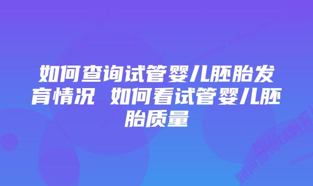 如何查询试管婴儿胚胎发育情况 如何看试管婴儿胚胎质量