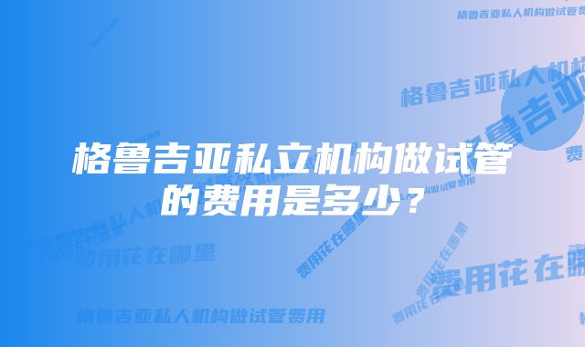 格鲁吉亚私立机构做试管的费用是多少？