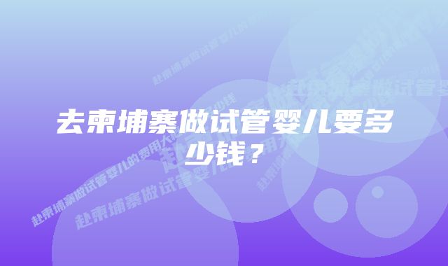 去柬埔寨做试管婴儿要多少钱？