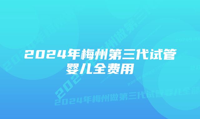 2024年梅州第三代试管婴儿全费用