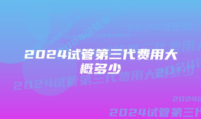 2024试管第三代费用大概多少