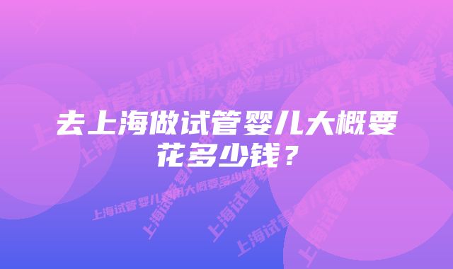 去上海做试管婴儿大概要花多少钱？