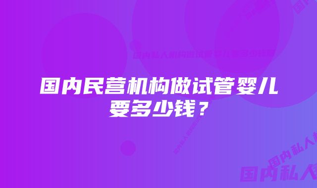 国内民营机构做试管婴儿要多少钱？