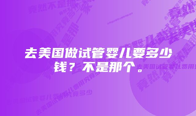 去美国做试管婴儿要多少钱？不是那个。