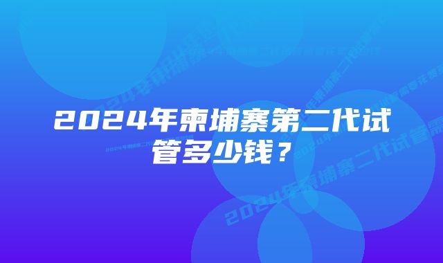 2024年柬埔寨第二代试管多少钱？