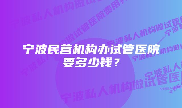 宁波民营机构办试管医院要多少钱？