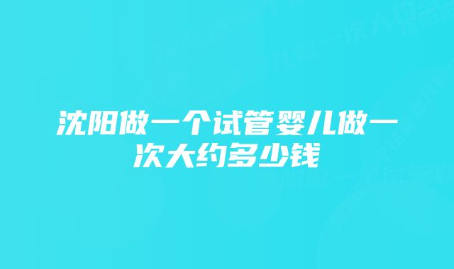 沈阳做一个试管婴儿做一次大约多少钱