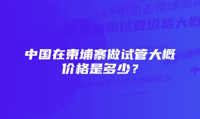 中国在柬埔寨做试管大概价格是多少？