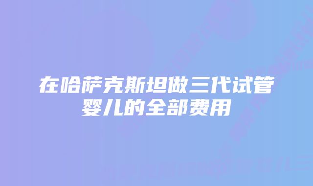 在哈萨克斯坦做三代试管婴儿的全部费用