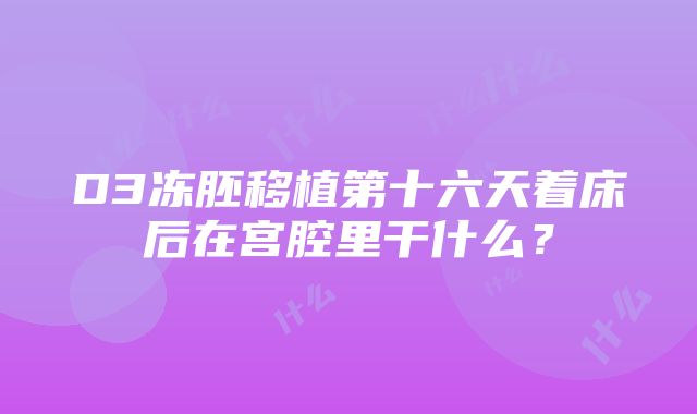 D3冻胚移植第十六天着床后在宫腔里干什么？