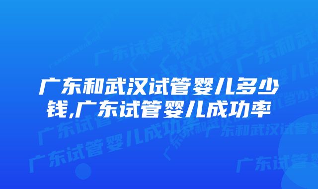 广东和武汉试管婴儿多少钱,广东试管婴儿成功率