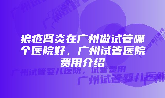 狼疮肾炎在广州做试管哪个医院好，广州试管医院费用介绍