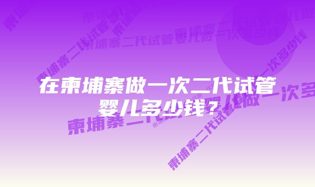 在柬埔寨做一次二代试管婴儿多少钱？