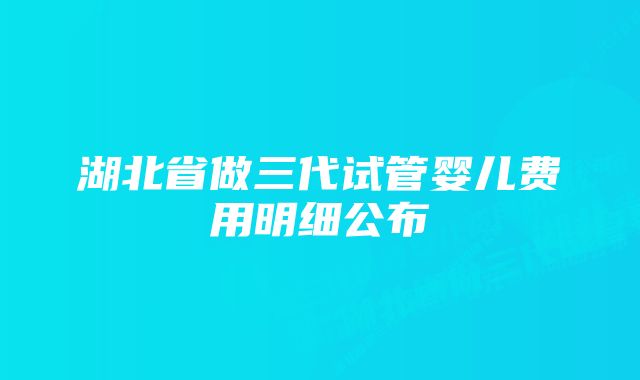 湖北省做三代试管婴儿费用明细公布