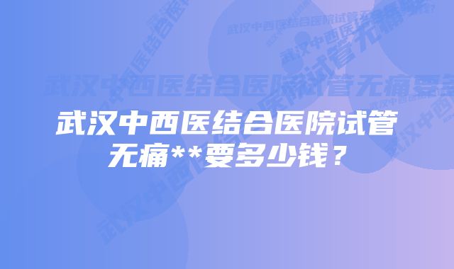 武汉中西医结合医院试管无痛**要多少钱？