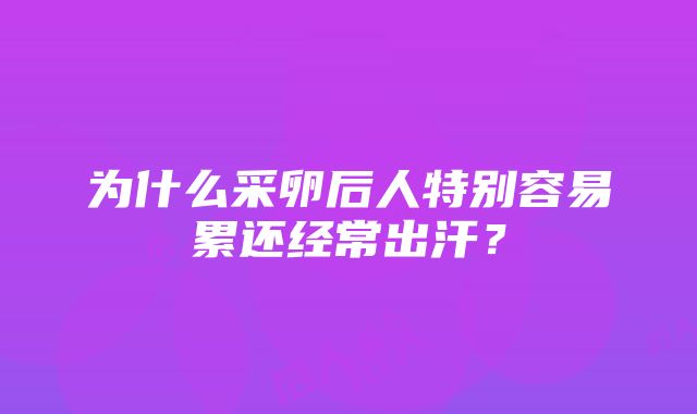 为什么采卵后人特别容易累还经常出汗？