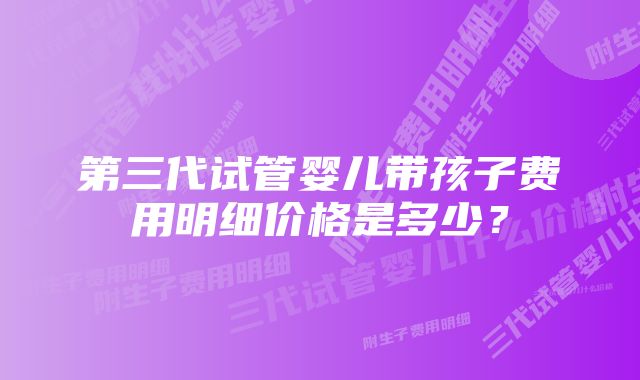 第三代试管婴儿带孩子费用明细价格是多少？