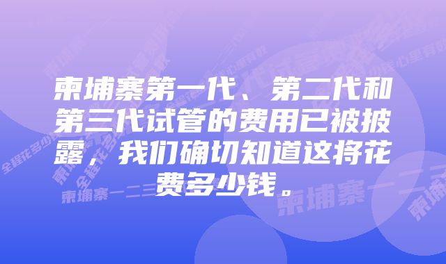 柬埔寨第一代、第二代和第三代试管的费用已被披露，我们确切知道这将花费多少钱。