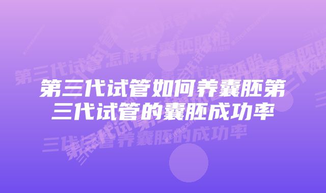 第三代试管如何养囊胚第三代试管的囊胚成功率