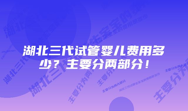 湖北三代试管婴儿费用多少？主要分两部分！