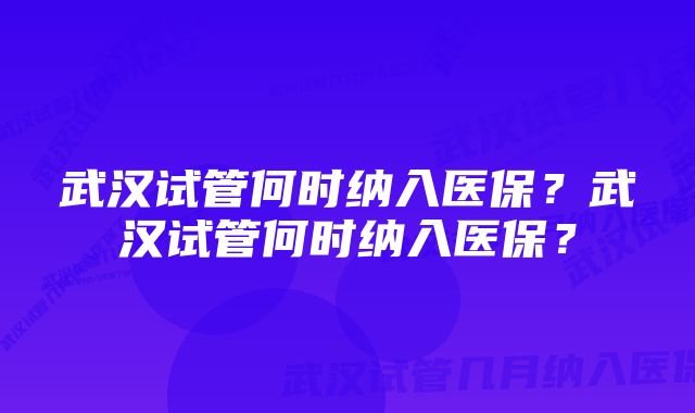 武汉试管何时纳入医保？武汉试管何时纳入医保？