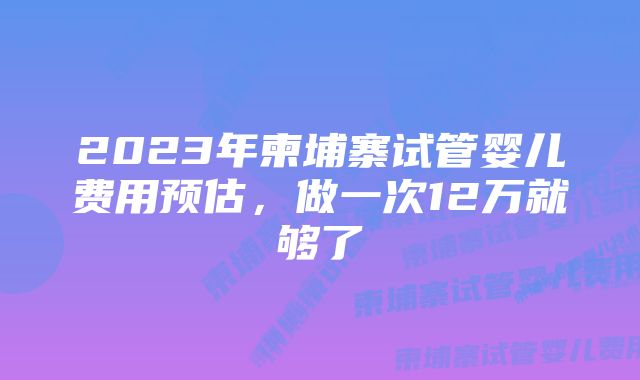 2023年柬埔寨试管婴儿费用预估，做一次12万就够了